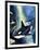 Killer Whale-G. W Backhouse-Framed Giclee Print