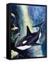 Killer Whale-G. W Backhouse-Framed Stretched Canvas