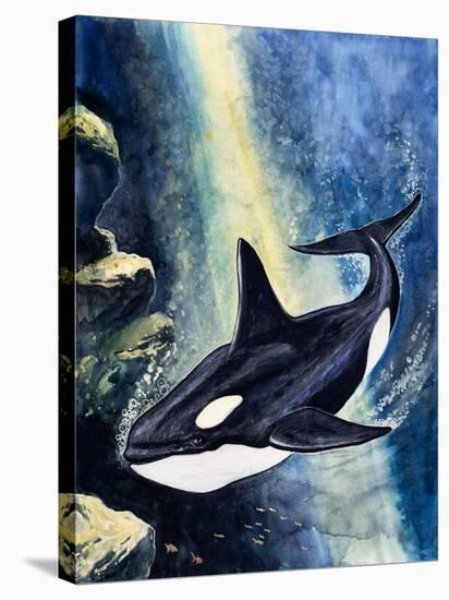 Killer Whale-G. W Backhouse-Stretched Canvas