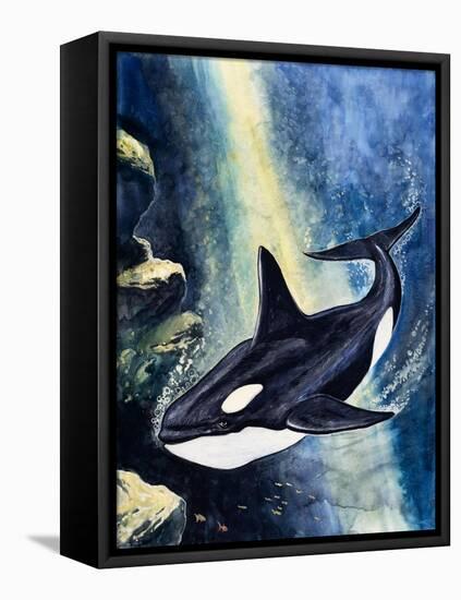 Killer Whale-G. W Backhouse-Framed Stretched Canvas