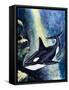 Killer Whale-G. W Backhouse-Framed Stretched Canvas