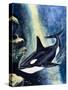 Killer Whale-G. W Backhouse-Stretched Canvas