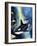 Killer Whale-G. W Backhouse-Framed Giclee Print