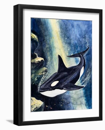 Killer Whale-G. W Backhouse-Framed Giclee Print