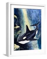 Killer Whale-G. W Backhouse-Framed Giclee Print