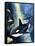 Killer Whale-G. W Backhouse-Framed Stretched Canvas