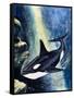 Killer Whale-G. W Backhouse-Framed Stretched Canvas