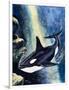 Killer Whale-G. W Backhouse-Framed Premium Giclee Print