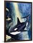 Killer Whale-G. W Backhouse-Framed Premium Giclee Print