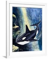 Killer Whale-G. W Backhouse-Framed Giclee Print