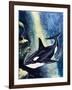 Killer Whale-G. W Backhouse-Framed Giclee Print