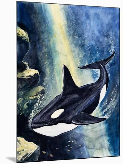 Killer Whale-G. W Backhouse-Mounted Giclee Print