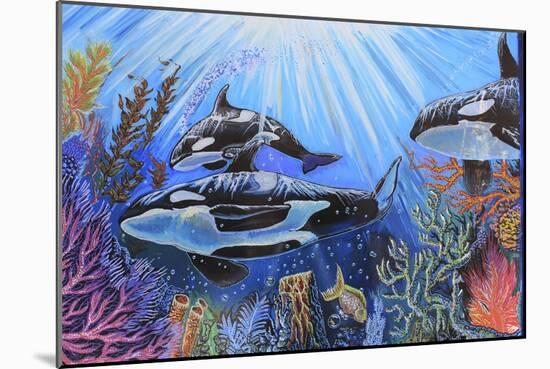 Killer Whales-Martin Nasim-Mounted Giclee Print