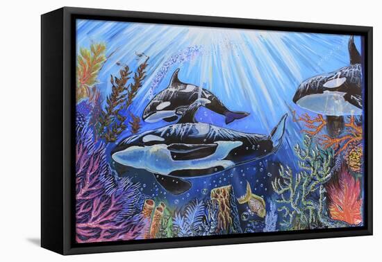 Killer Whales-Martin Nasim-Framed Stretched Canvas