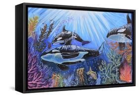 Killer Whales-Martin Nasim-Framed Stretched Canvas