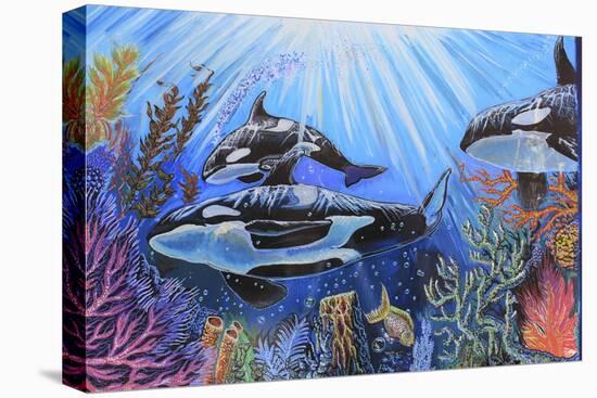 Killer Whales-Martin Nasim-Stretched Canvas