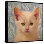 Killer-Diane Hoeptner-Framed Stretched Canvas