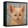 Killer-Diane Hoeptner-Framed Stretched Canvas