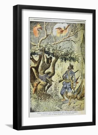 Killing Birds of Paradise, New Guinea, 1908-null-Framed Giclee Print