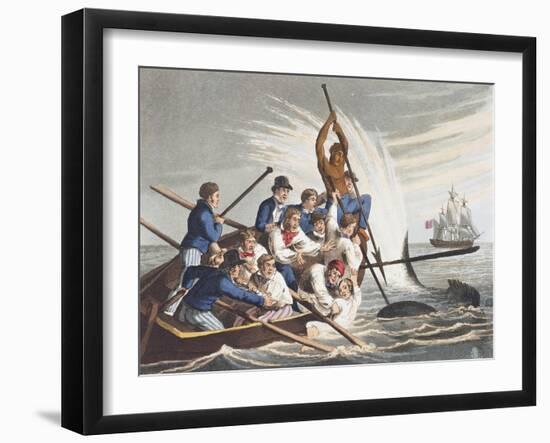 Killing Shark, United Kingdom, 19th Century-null-Framed Giclee Print