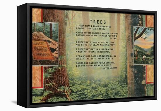 Kilmer Tree Poem, Forest-null-Framed Stretched Canvas