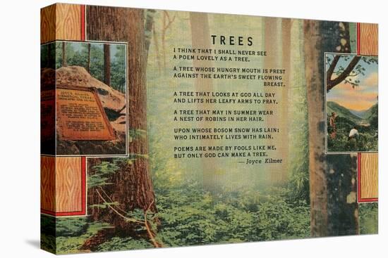 Kilmer Tree Poem, Forest-null-Stretched Canvas