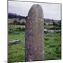 Kilnasaggart Cross Pillar, Armagh, Ireland, C714-CM Dixon-Mounted Photographic Print