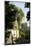Kilnsey Crag, Wharfedale, Yorkshire Dales, Yorkshire, England, United Kingdom, Europe-Tony Waltham-Mounted Photographic Print