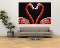 Flamingos-Kim Avent-dilornzo-Giant Art Print