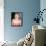 Kim Cattrall-null-Framed Stretched Canvas displayed on a wall