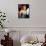 Kim Cattrall-null-Mounted Photo displayed on a wall