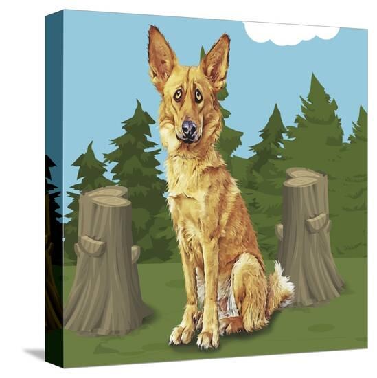 Stretched Canvas Print, , large