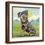Brown Frame