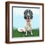 Brown Frame