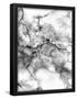 Essential Black