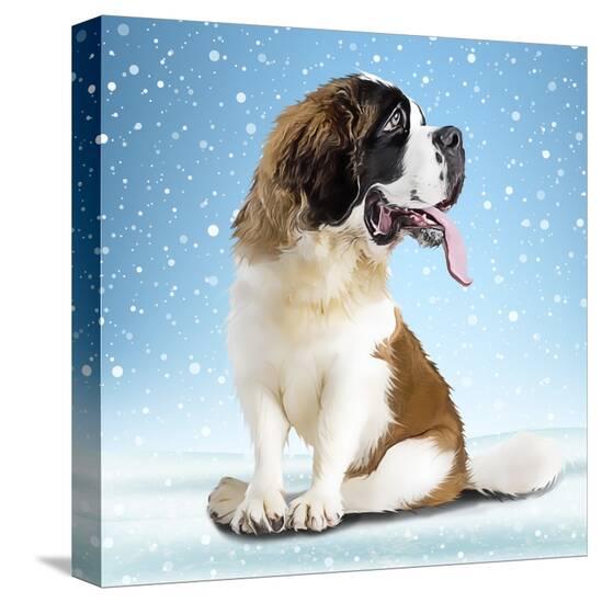 Stretched Canvas Print, , large