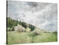Stretched Canvas
