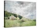 Stretched Canvas