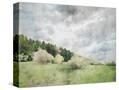 Stretched Canvas
