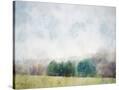 Stretched Canvas