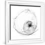 Gramercy White