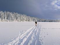 Cross Country Skiing, Abortjern, Oslomarka (Baerumsmarka), Olso, Norway, Scandinavia-Kim Hart-Photographic Print