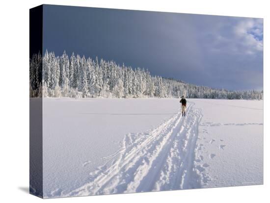 Stretched Canvas Print, , large