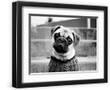 Chelsea Black