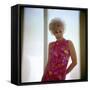 Kim Novak in the 60's-null-Framed Stretched Canvas