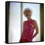 Kim Novak in the 60's-null-Framed Stretched Canvas