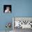 Kim Novak (photo)-null-Photo displayed on a wall