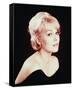 Kim Novak-null-Framed Stretched Canvas