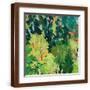 Brown Frame
