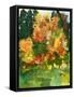 Framed Canvas
